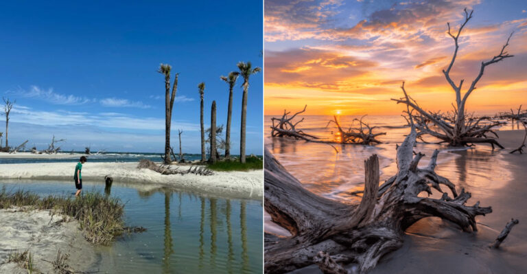 Locals Know This Famous South Carolina State Park Hides A Lagoon Most Visitors Never Find