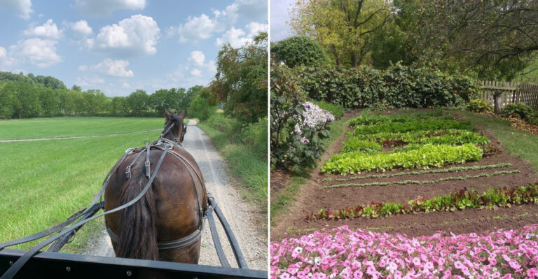 This Ohio Amish-Style Destination Is A Must-Visit For Food Shopping And Small Town Charm