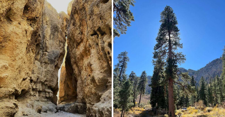 This Scenic Nevada Byway Gets Even More Beautiful When The Leaves Change