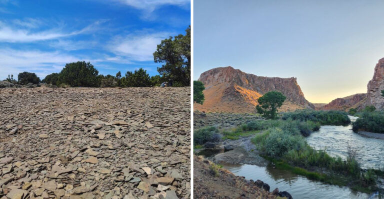 10 Nevada Places Where You Can Hunt For Fossils, Gemstones, Turquoise, And More
