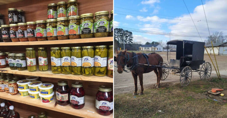 8 Mississippi Amish And Mennonite Markets Worth The Drive For Fresh Bread Bulk Foods And Handmade Goods