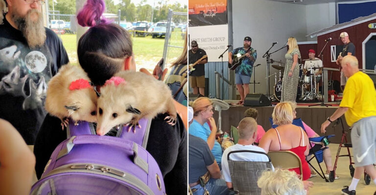 This Old-School Florida Fair Turns A Tiny Town Into A Summer Destination