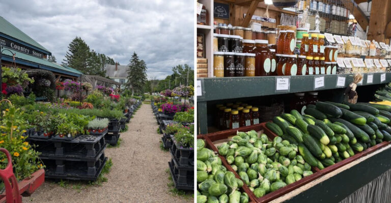This Massachusetts Farm Store Is Packed With Old-Fashioned Country Finds