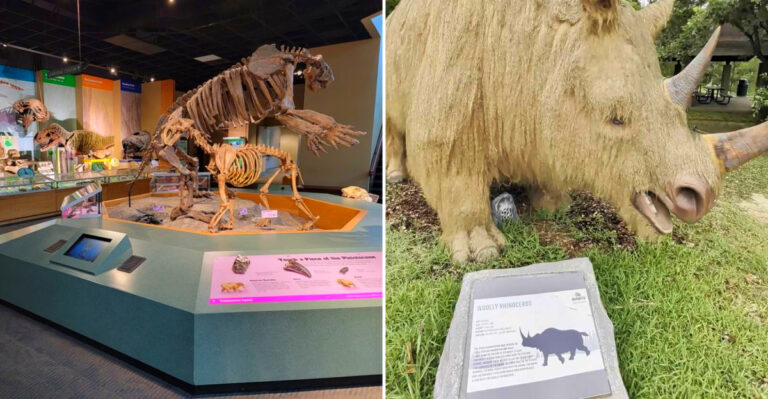 This Mississippi Ice Age Exhibit Lets Kids Stand Beside Animals That Vanished 10,000 Years Ago