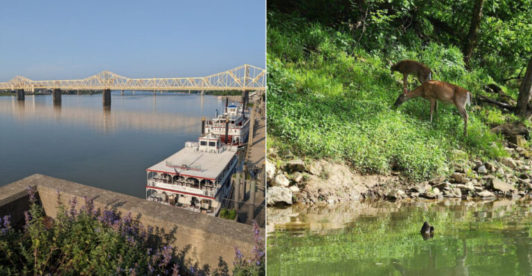 The Worst Places To Deal With Mosquitoes In Kentucky This Summer