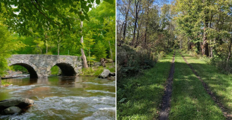 7 New York Hiking Trails Locals Avoid In Summer And Fall Because Of Active Black Bears