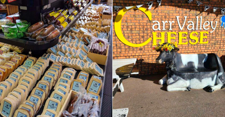 This Wisconsin Cheese Factory Is A Must-Visit For Serious Cheese Lovers