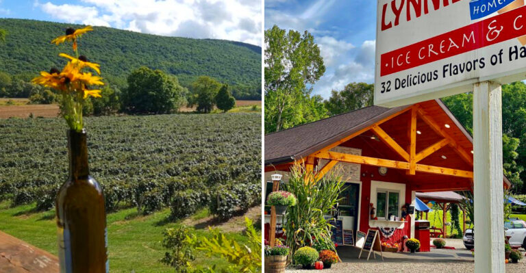 This Tiny New York Town Has Amazing Restaurants And Almost Nobody Talks About It