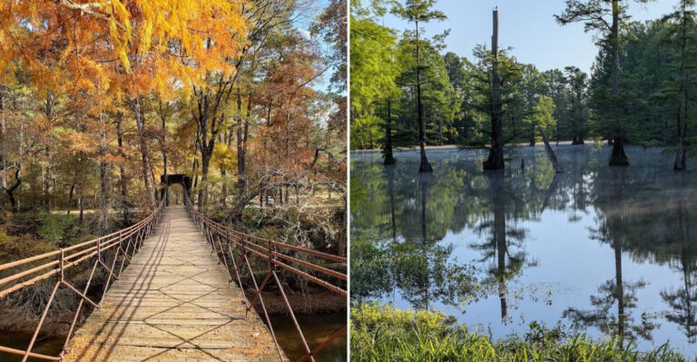 10 Incredible Mississippi Summer Adventures That Feel Like A Premium Experience But Costs Less Than A Tank Of Gas