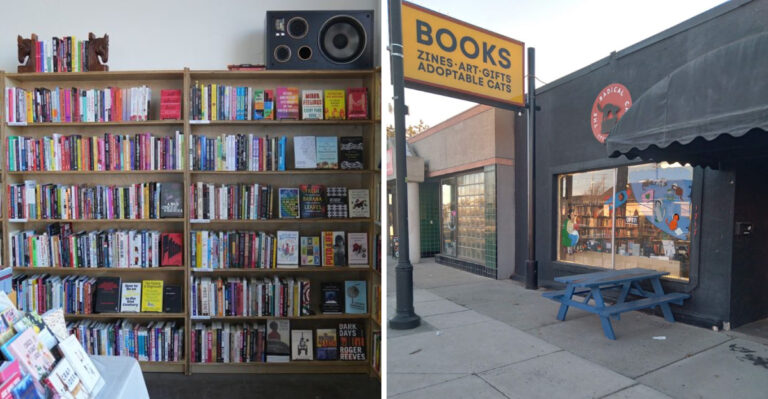 This Quaint Nevada Bookstore Pairs Endless Aisles With Friendly Resident Cats