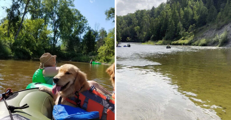 This Michigan River Is The Summer Tubing Secret Locals Keep To Themselves