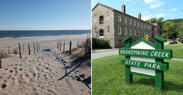 8 Delaware Areas With Rising Tick Populations You Should Know About This Summer
