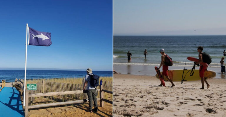 The Massachusetts Beach Where Shark Sightings Are Common And Finding A Parking Spot Feels Like Winning The Lottery