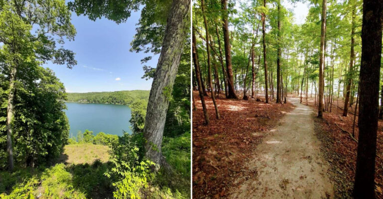 This West Virginia Lake Is Known For Its Growing Snake Population And What Visitors Should Know