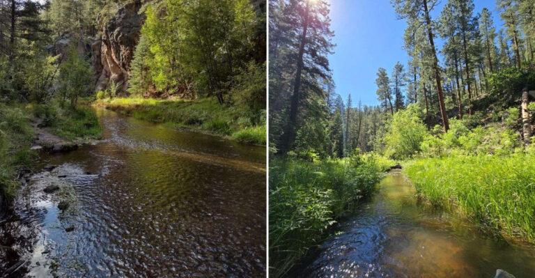 This Hidden Canyon In New Mexico Hides A Stunning Swimming Hole Most Visitors Never Discover
