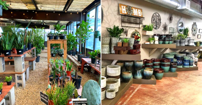 This Large Nevada Nursery Offers Plenty Of Ways To Stretch Your Plant Budget