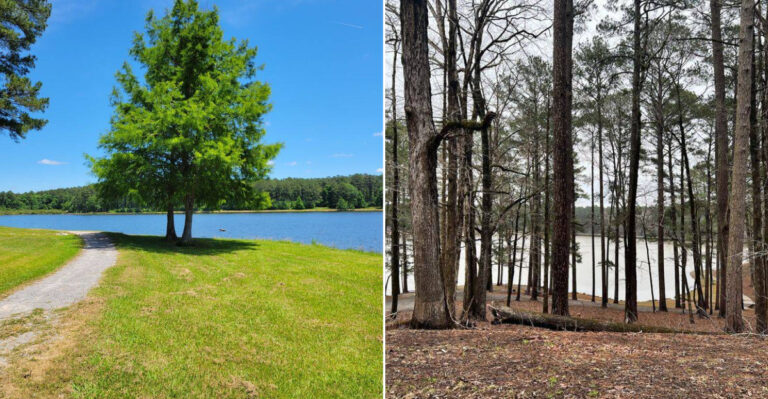 Almost Nobody Outside Mississippi Knows About This Massive Hidden Lake