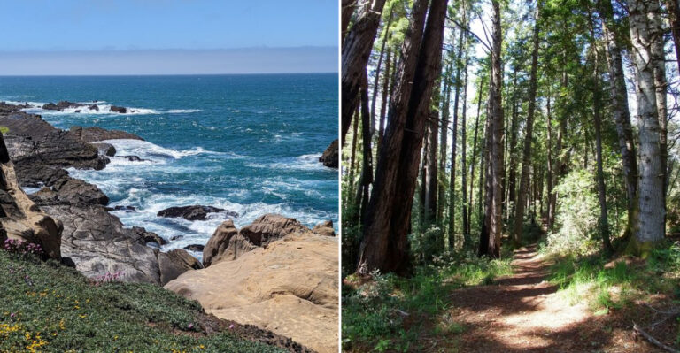 This Beautiful California State Park Could Be One Of The State’s Most Concerning Tick Hotspots