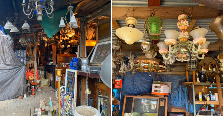 The Brooklyn, Salvage Shop In New York Where Treasure Hunters Say Hours Disappear Fast