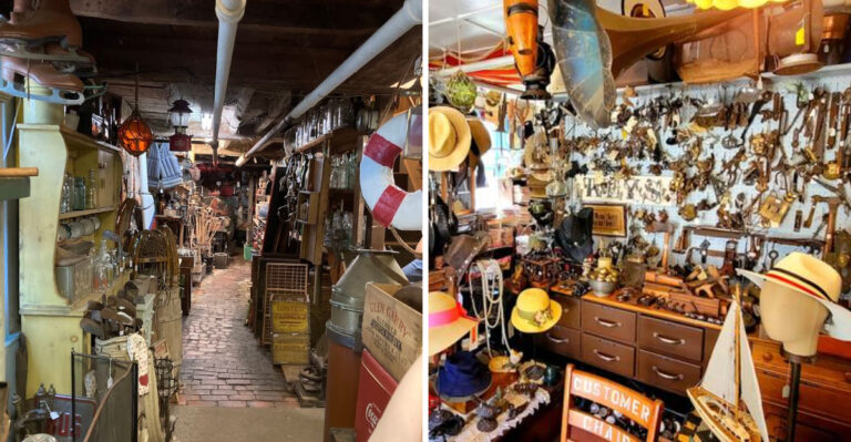 This Family-Run Massachusetts Antique Shop Has Been Drawing Treasure Hunters Since 1973