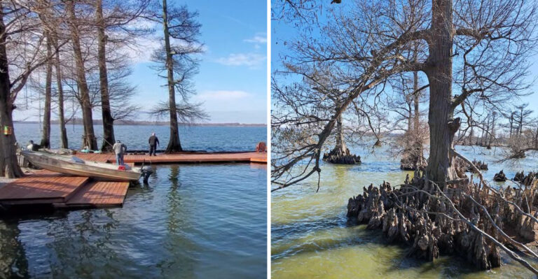 This Tennessee Lake Shore Has More Snakes Than Most Visitors Expect