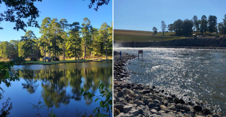 10 Mississippi Lakes And Swimming Spots Where The Water Is Surprisingly Clear In Late Summer