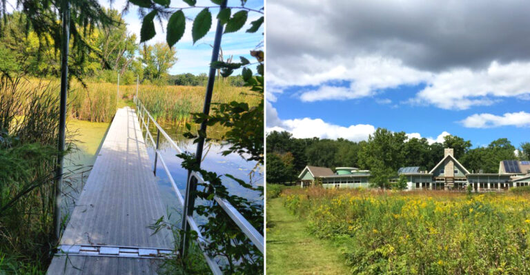 This Peaceful Wisconsin Nature Trail Is The Perfect Escape For 2026