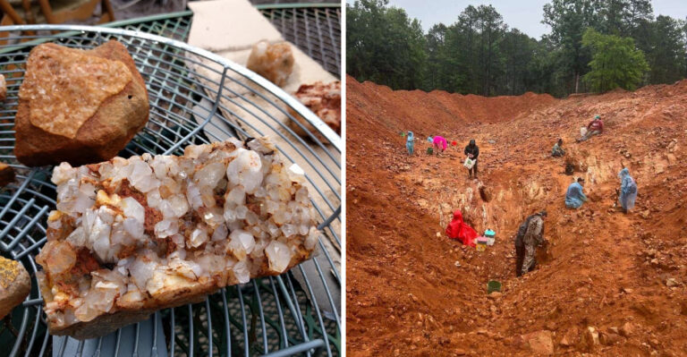 8 Arkansas Rockhounding Spots Packed With Crystals And Natural Treasures