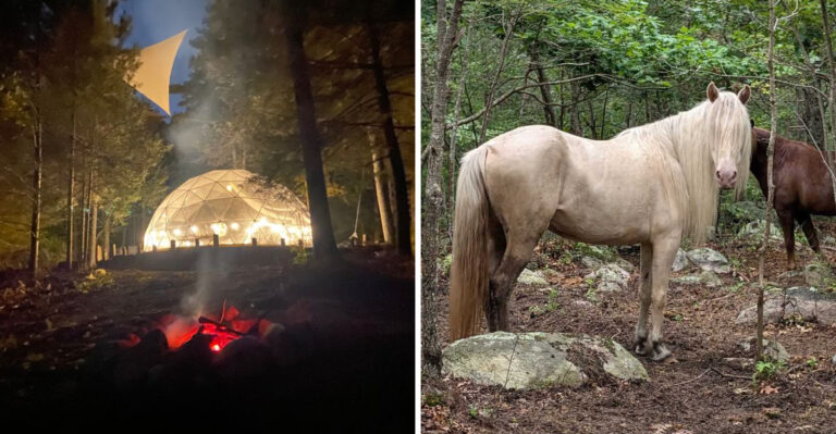 This Connecticut Mustang Sanctuary Lets You Meet Wild Horses And Camp Beneath The Stars