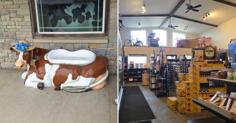 This Wisconsin Dairy Farm Lets You See How Award-Winning Gouda Is Made This August