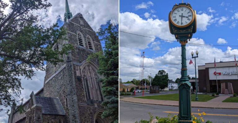 This Small Upstate New York Town Has So Many Black Bear Sightings Locals Know To Stay Alert