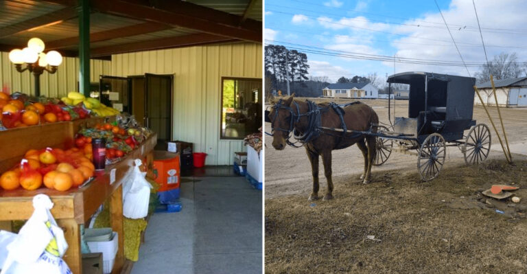 The Giant Mississippi Amish Market In Pontotoc Where You Can Shop, Browse, And Wander For Hours In 2026