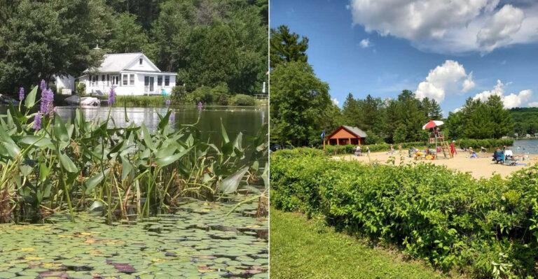 This Massachusetts State Park Hides A Lake That Could Become Your New Favorite