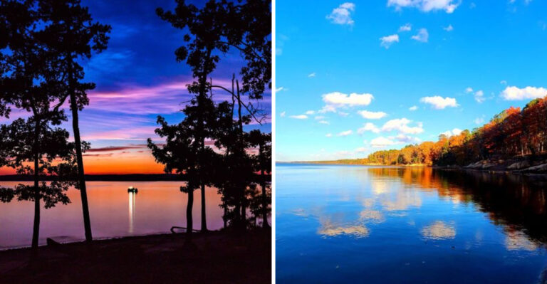 What Was Once A Peaceful North Carolina Lake Is Now At The Center Of A Heated Debate