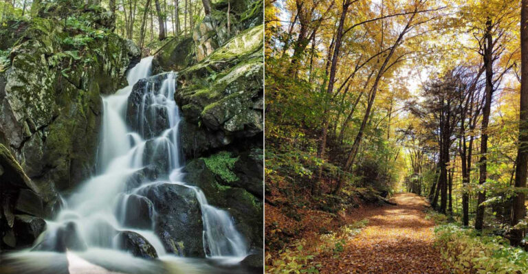 The Easy Massachusetts Trail That Rewards You With A Hidden Waterfall