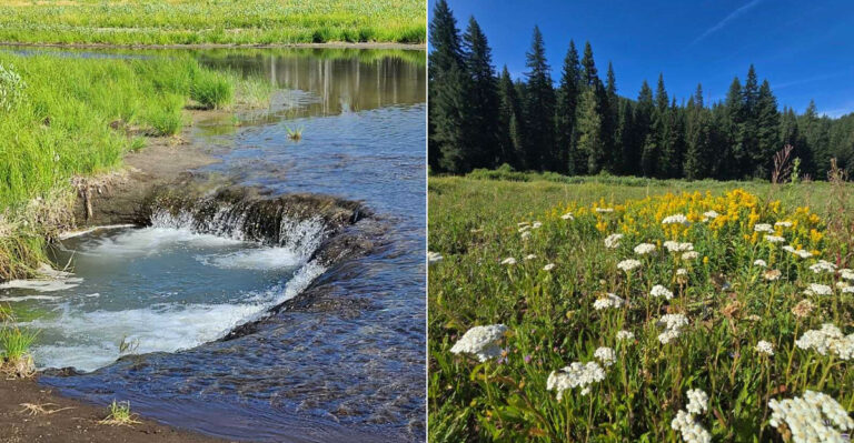 This Peaceful Oregon Lake Is At The Center Of A Strange Natural Phenomenon
