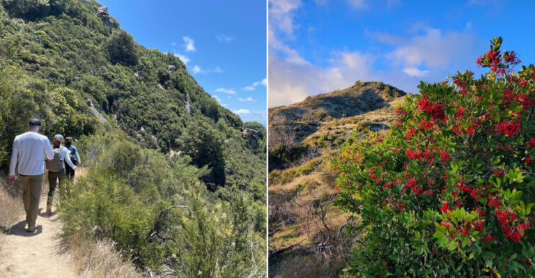11 California Hiking Trails Where Hikers Should Keep An Eye Out For Ticks In 2026