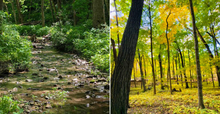 This Wooded Wisconsin Park Is Made For Slow Hikes And Creekside Exploring