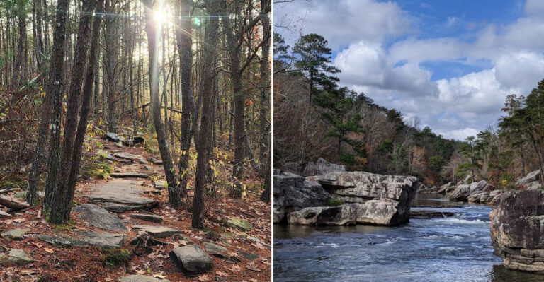 This Hidden Little Grand Canyon In Alabama Offers Breathtaking Views You Won’t Believe Are Real
