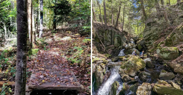 This Massive Massachusetts State Forest Has Nearly 100 Miles Of Trails And Wild Mountain Terrain
