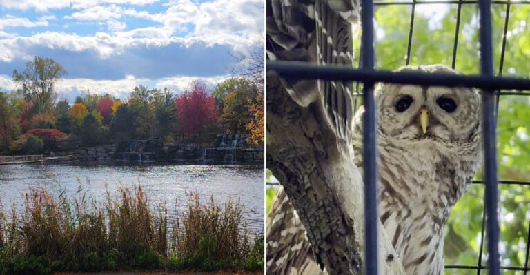 This Wisconsin Wildlife Sanctuary Offers A Peaceful Escape For Nature Lovers