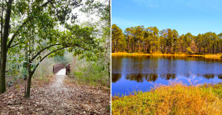 This Hidden Mississippi Gem Mine Lets You Dig In A Secret Creek And Keep What You Find