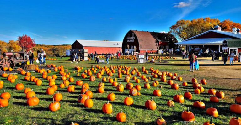 8 Wisconsin Pumpkin Patches That Make Picking The Perfect Pumpkin Half The Fun