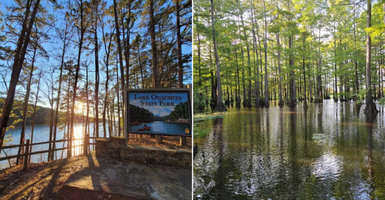 9 Places In Arkansas Where You Are Most Likely To Encounter Cottonmouths This Summer