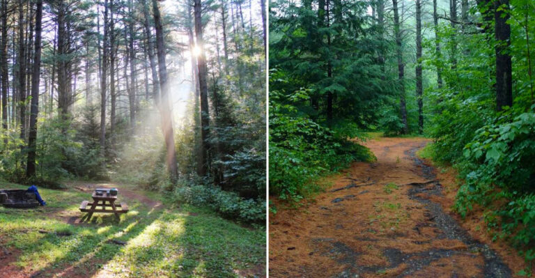 The Cash-Only New York Campground Where People Still Line Up At Dawn For A Spot Under $30