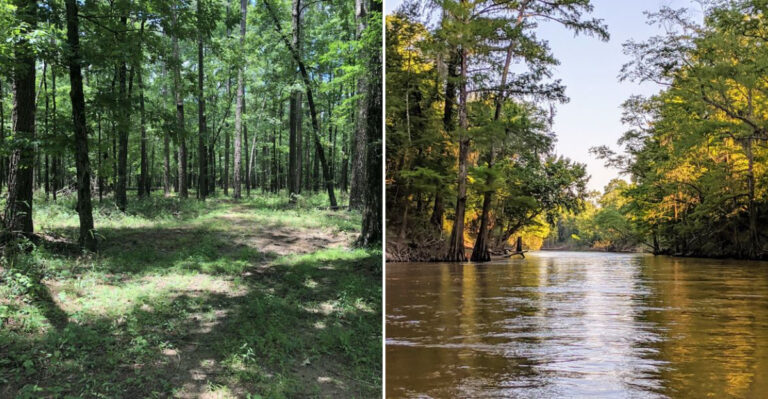 Mississippi’s 12 Best Spots To Hunt For Fossils Sea Glass And Other Natural Treasures