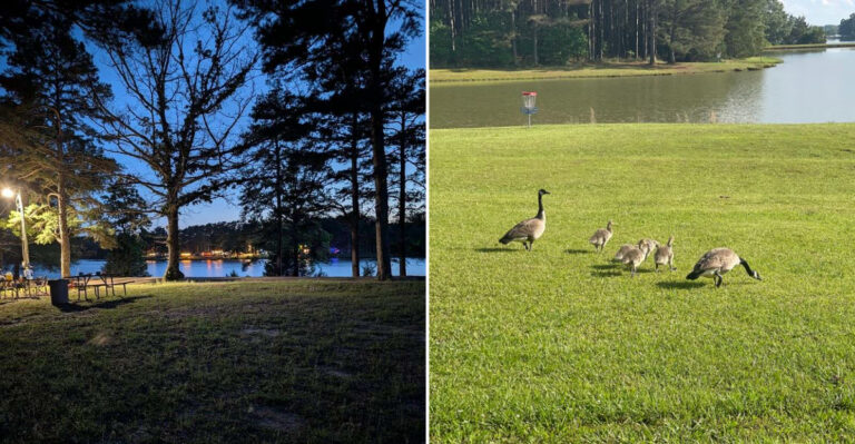 This Underrated Mississippi State Park Is Surprisingly Gorgeous And Still Under The Radar
