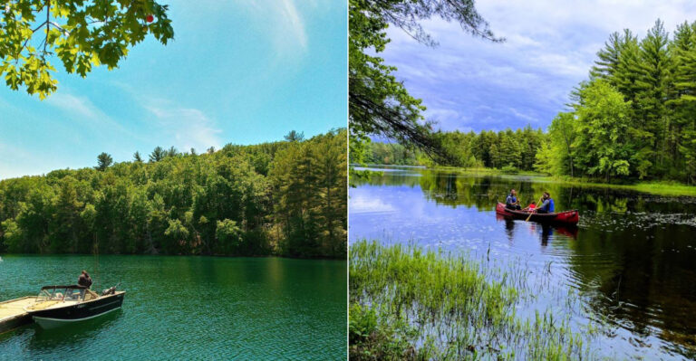 This Massachusetts Lake Is Home To More Snakes Than You’d Expect, Here’s What To Know