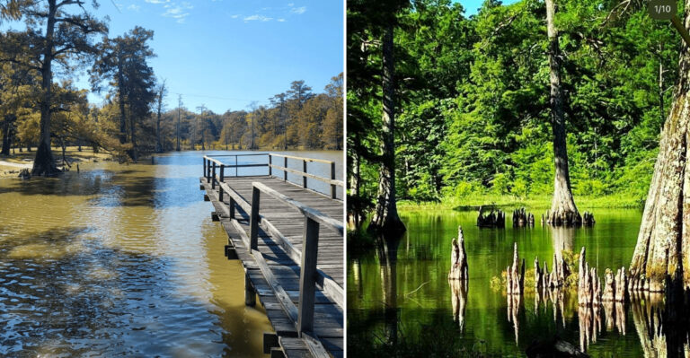 The Oldest Man-Made Lake In Mississippi Still Has Some Of The Best Views