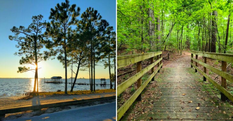 These Senior-Friendly Mississippi Walking Trails Feel So Peaceful Even The Scenery Slows Down